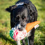 Rosewood Cooling Snuffle Icecream