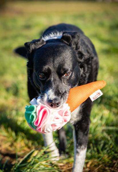Rosewood Cooling Snuffle Icecream