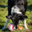 Rosewood Cooling Snuffle Icecream