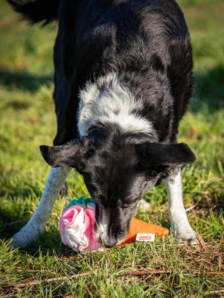 Rosewood Cooling Snuffle Icecream