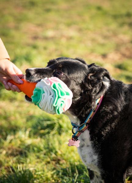 Rosewood Cooling Snuffle Icecream