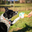 Rosewood Cooling Snuffle Icecream