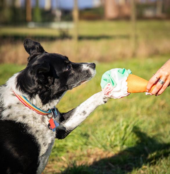 Rosewood Cooling Snuffle Icecream