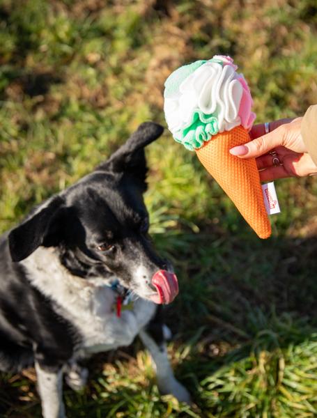 Rosewood Cooling Snuffle Icecream