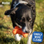 Rosewood Fitdog Bone Throw Toy