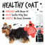 Bugalugs No Rinse Flea & Tick Shampoo 200ml