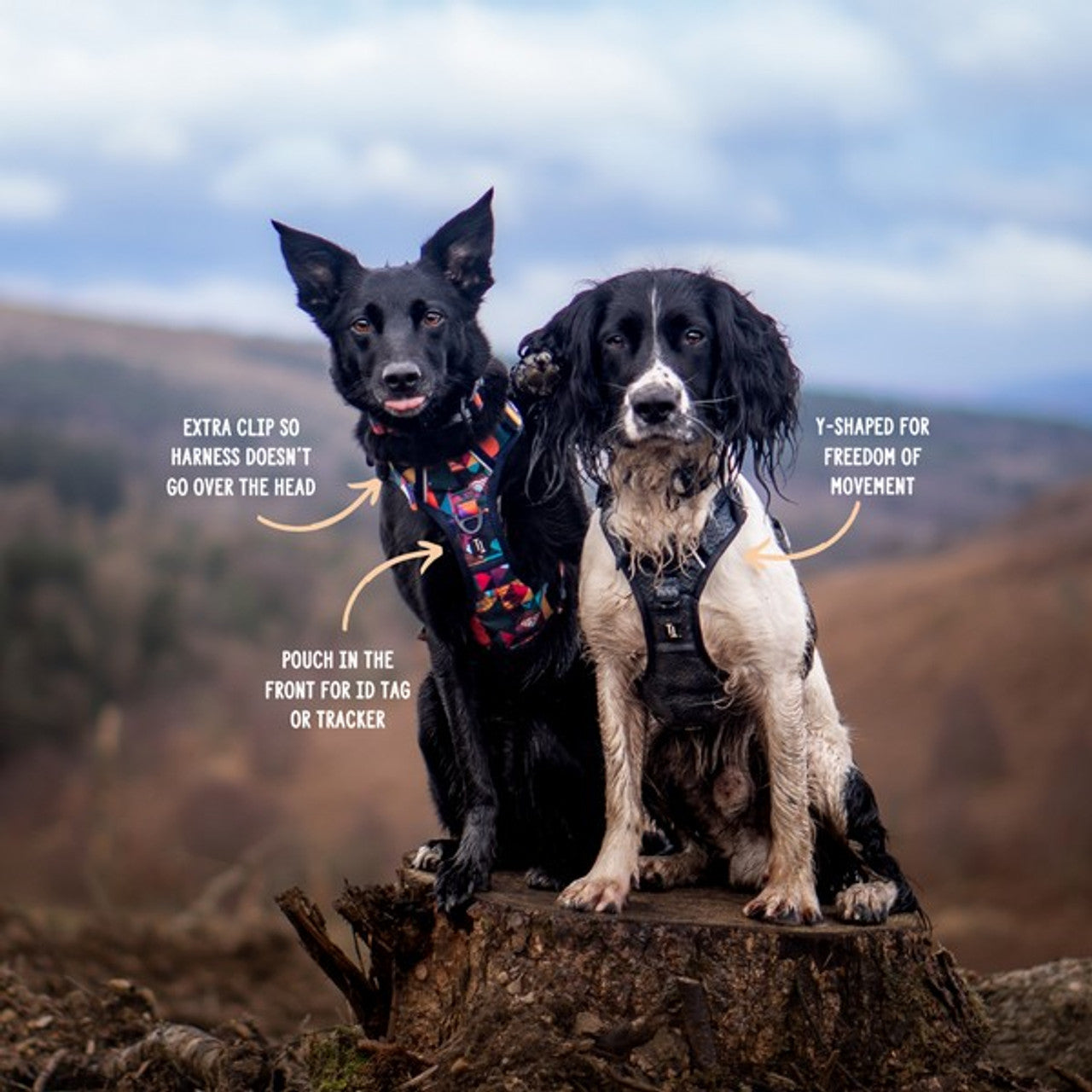 Twiggy Tags Adventure Harness Aurora