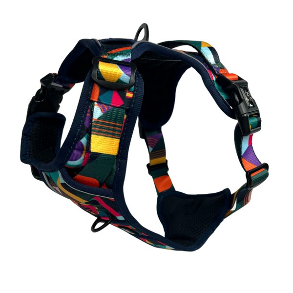 Twiggy Tags Adventure Harness Aurora