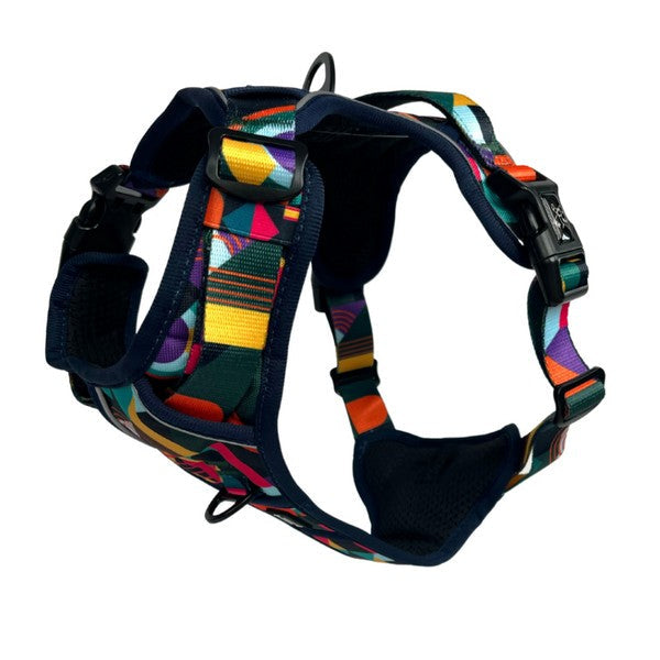 Twiggy Tags Adventure Harness Aurora