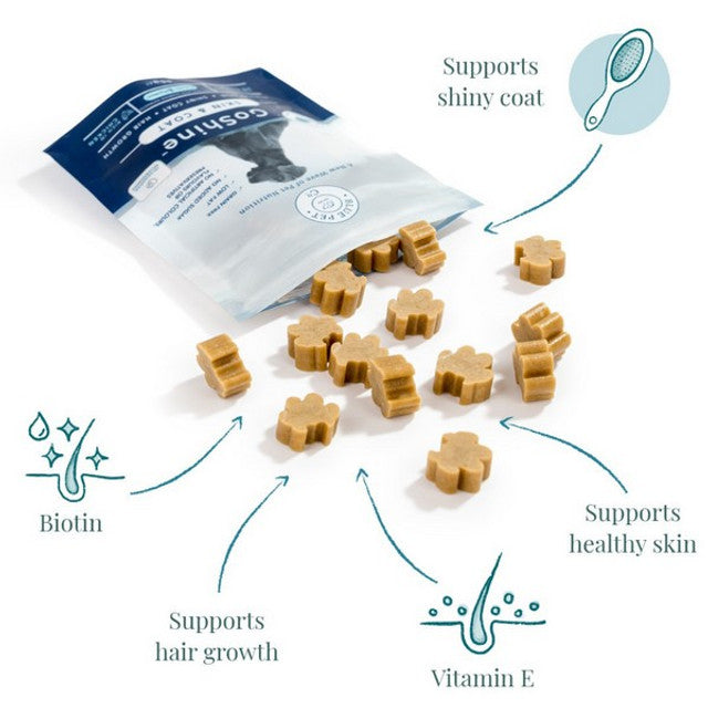 Blue Pet GoShine Skin & Coat Supplement Peanut Butter