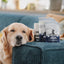 Blue Pet GoShine Skin & Coat Supplement Peanut Butter