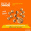 Schesir Dry Born Carnivore Chicken & Egg Adult 255G x 8