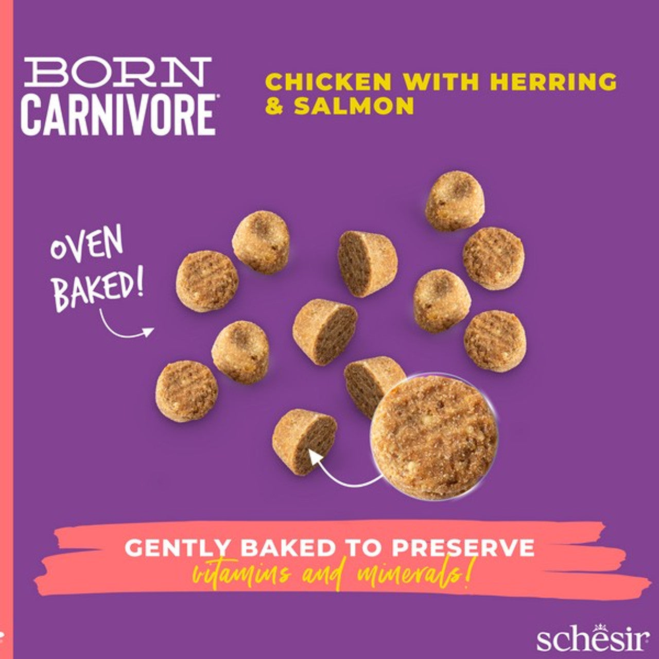 Schesir Dry Born Carnivore Herring & Salmon Adult 255G x 8