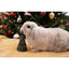Rosewood Veggie Burst 3D Christmas Tree For a Rabbit