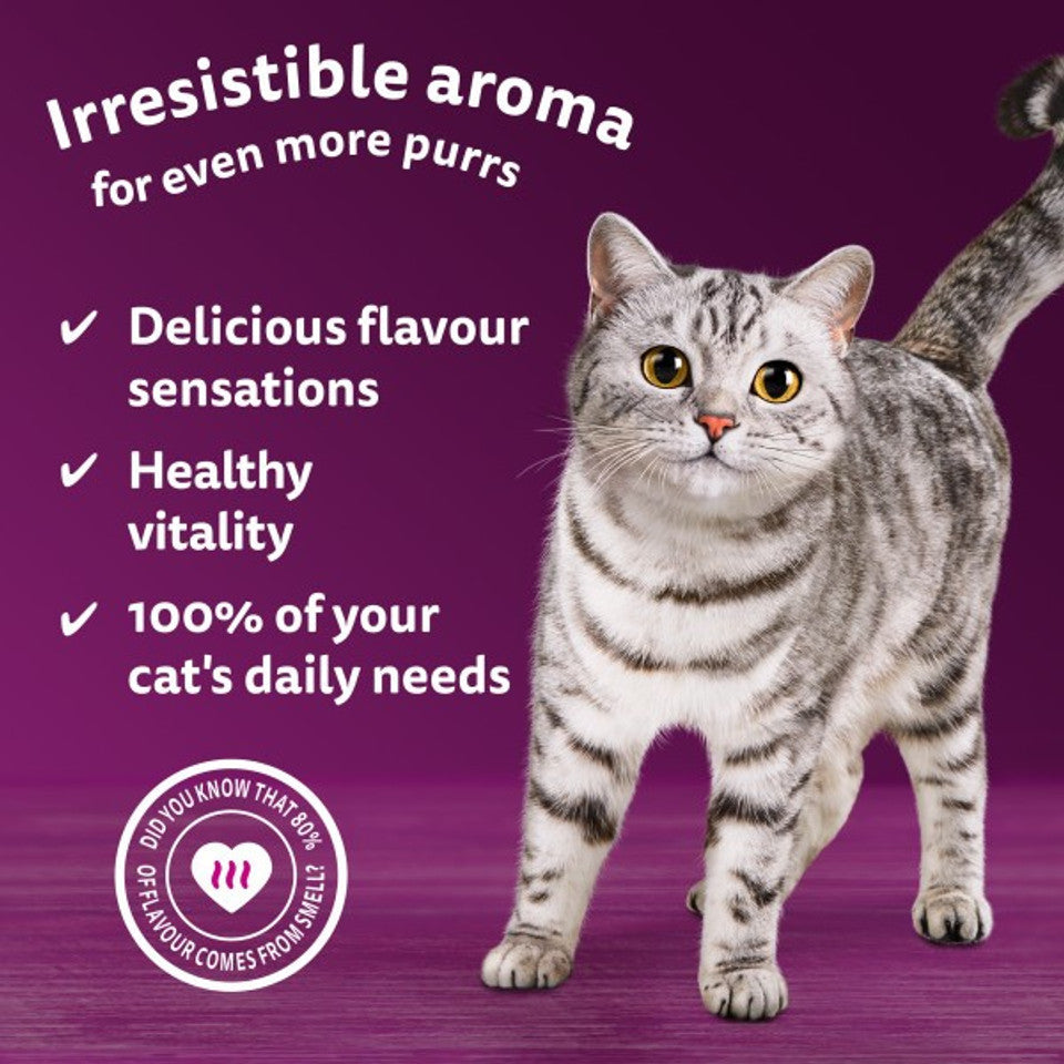 Whiskas Pouches 1+ Adult Cat Aromatic Selection Seafood Delight In Gravy 12X85G