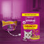 WHISKAS Crunch Cat Treats 100g