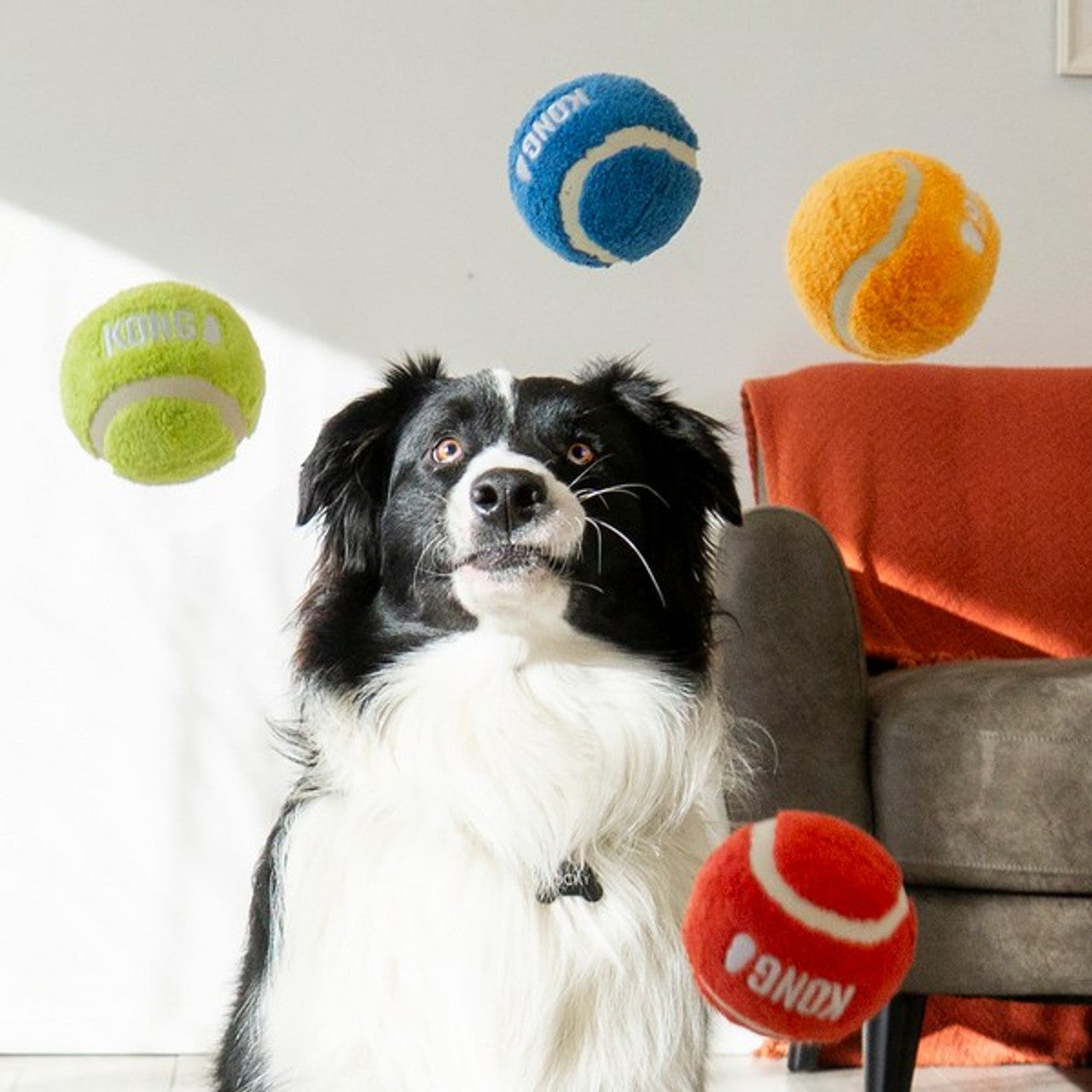 KONG Sport Softies Ball Assorted Colours Medium