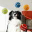 KONG Sport Softies Balls 3pk Assorted Small