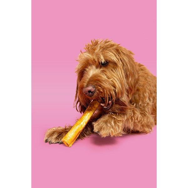 Pawtential Collagen Chew Chicken Flavour Large 110g