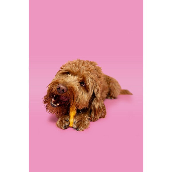 Pawtential Collagen Chew Beef Flavour Small 36g
