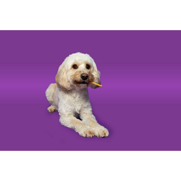 Pawtential Collagen Chew XS 6 Sticks  Beef Flavour