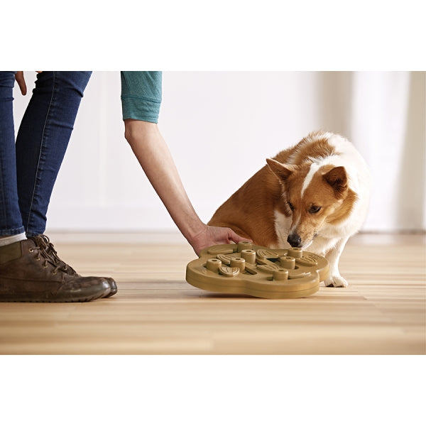 Nina Ottosson Dog Hide N Slide Tan