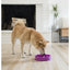 Rosewood Outward Hound Fun Feeder Flower Purple Large Dog Puzzle Toy
