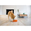 Rosewood Outward Hound Fun Feeder Swirl Orange Medium Dog Puzzle Toy