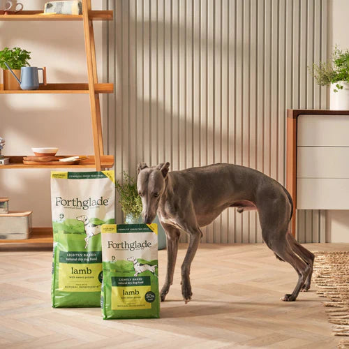 Forthglade Lamb Lightly Baked Natural Dry Dog Food, 6kg