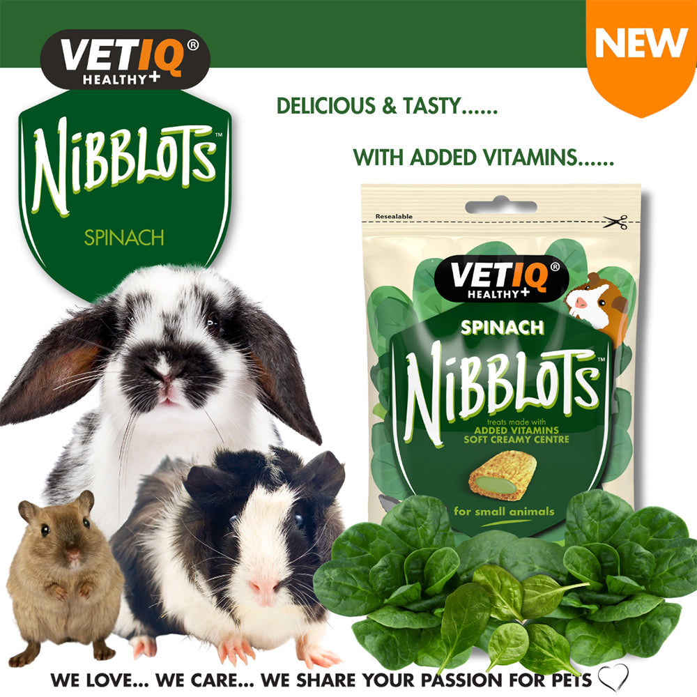 Vetiq Nibblots Spinach 30G