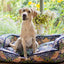 William Morris Strawberry Thief Pet Sofa