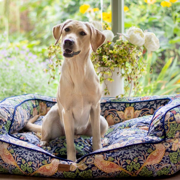 William Morris Strawberry Thief Pet Sofa