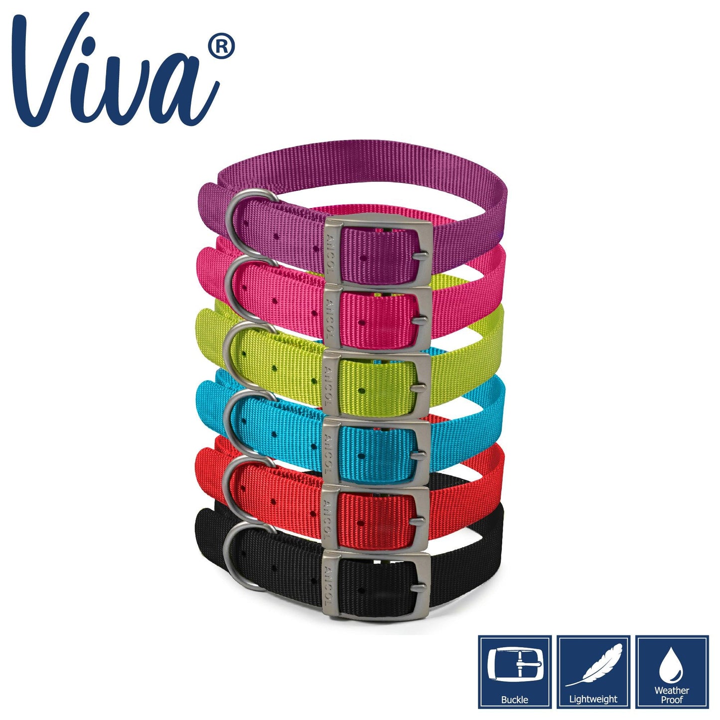 Ancol Viva Collar Blue 26-31cm Size 2 - Ormskirk Pets