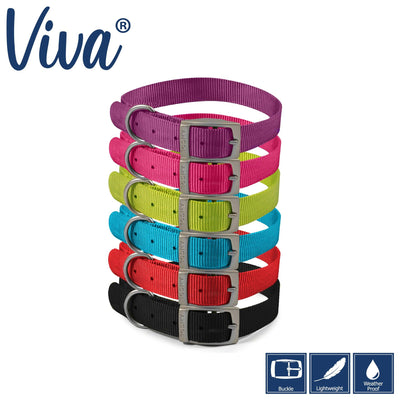 Ancol Viva Collar Blue 26-31cm Size 2 - Ormskirk Pets