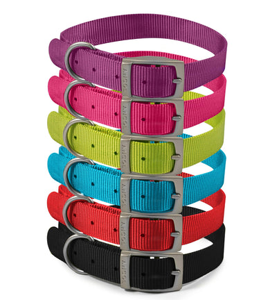 Ancol Viva Collar Purple 28-36cm Size 3 - Ormskirk Pets
