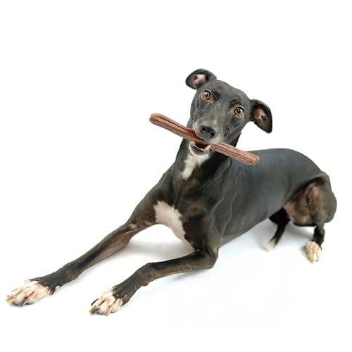 Nutriment Venison Gourmet Sticks Pack Of 4