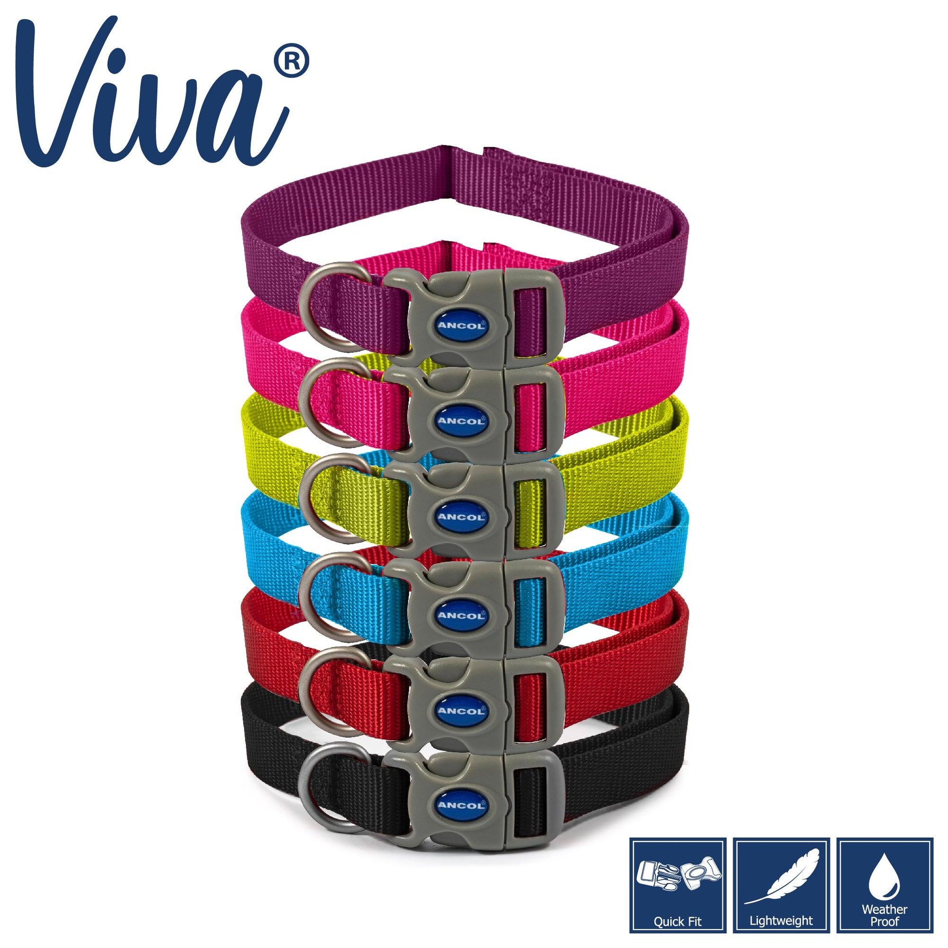 Ancol Viva Adjustable Collar Purple 45-70cm Size 5-9 - Ormskirk Pets