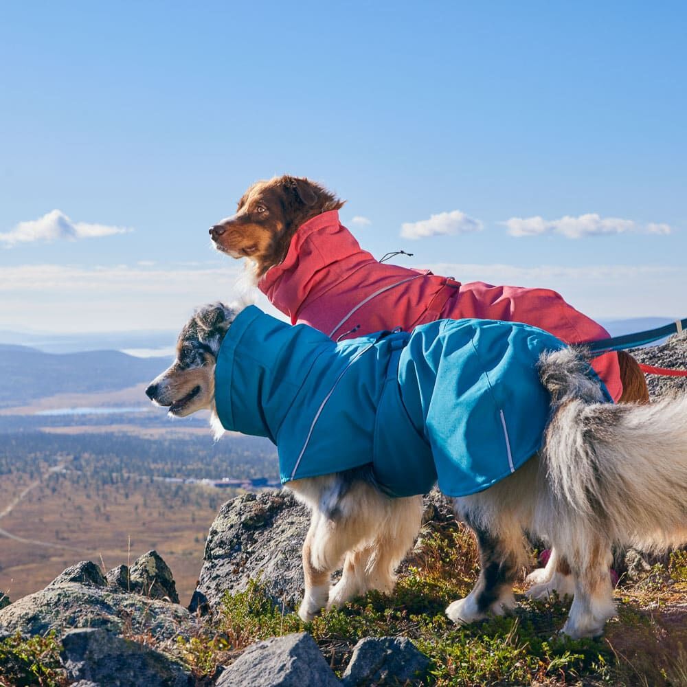 Hurtta Expedition Parka II Strawberry