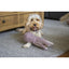 Rosewood tufflove Octopus Medium - Ormskirk Pets