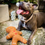 Rosewood tufflove Gingerbread Dog Toy