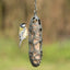 National Trust Sam Recycled Fat Ball Feeder