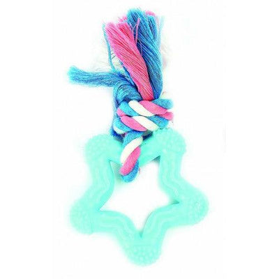 Little Rascals Star Teether - Ormskirk Pets