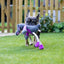 Rosewood Ruby Rabbit - Ormskirk Pets