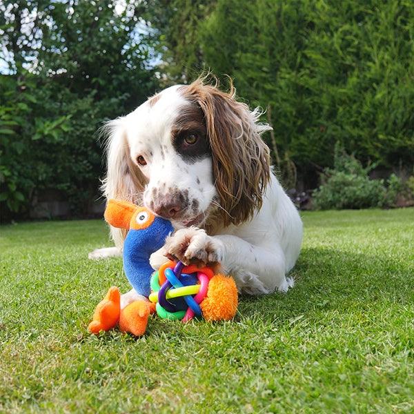Rosewood Tough Multi Texture Flamingo - Ormskirk Pets
