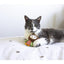 Rosewood Little Nippers Boggle Owl - Ormskirk Pets