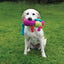 Rosewood Chloe Cow - Ormskirk Pets