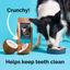 Nutriment Coconut Sticks for Dogs NUTRIMENT INSECT / PLANT-BASED TREATS 500g