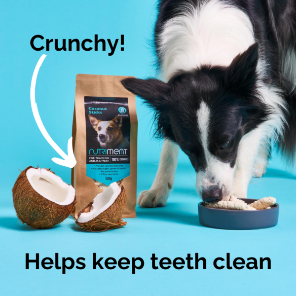 Nutriment Coconut Sticks for Dogs NUTRIMENT INSECT / PLANT-BASED TREATS 500g