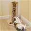 Rosewood Tokyo Anti-Scratch - Ormskirk Pets