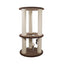 Rosewood Cinnamon - Ormskirk Pets